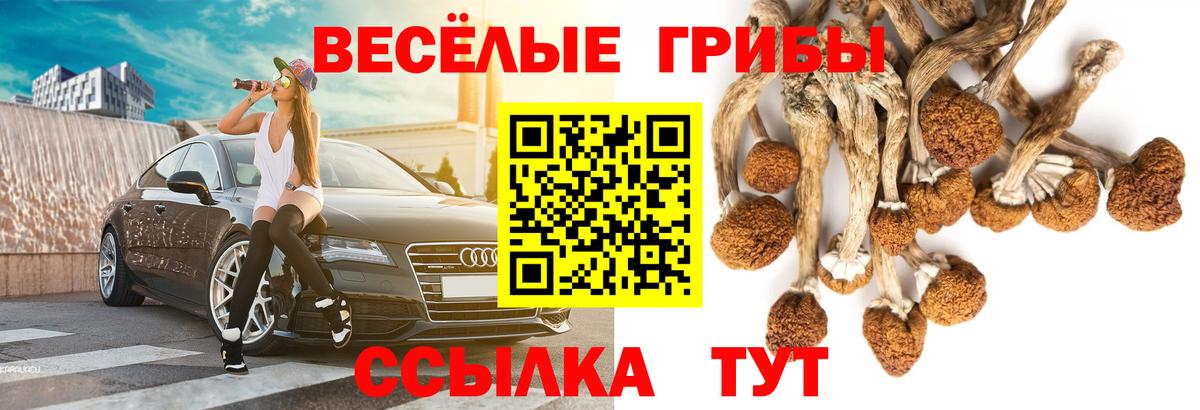 Галлюциногенные грибы Magic Shrooms Славянск-на-Кубани